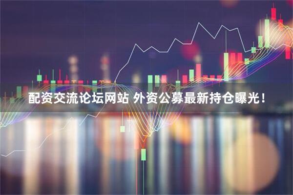 配资交流论坛网站 外资公募最新持仓曝光！