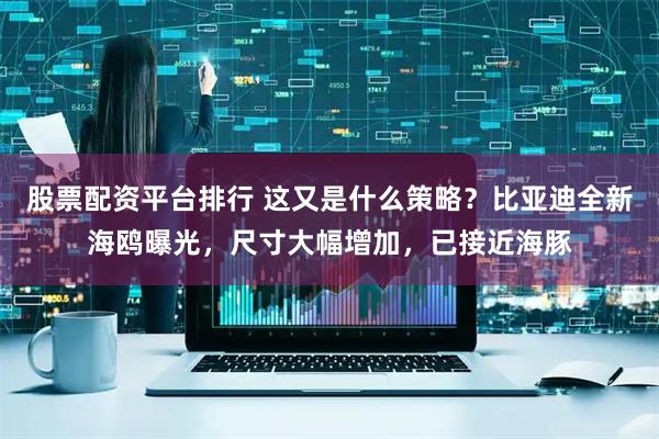 股票配资平台排行 这又是什么策略？比亚迪全新海鸥曝光，尺寸大幅增加，已接近海豚